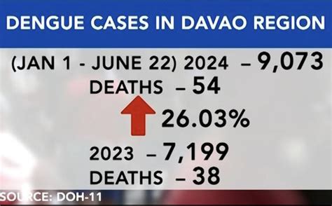 Dengue cases in Davao go up in first half of 2024 .
